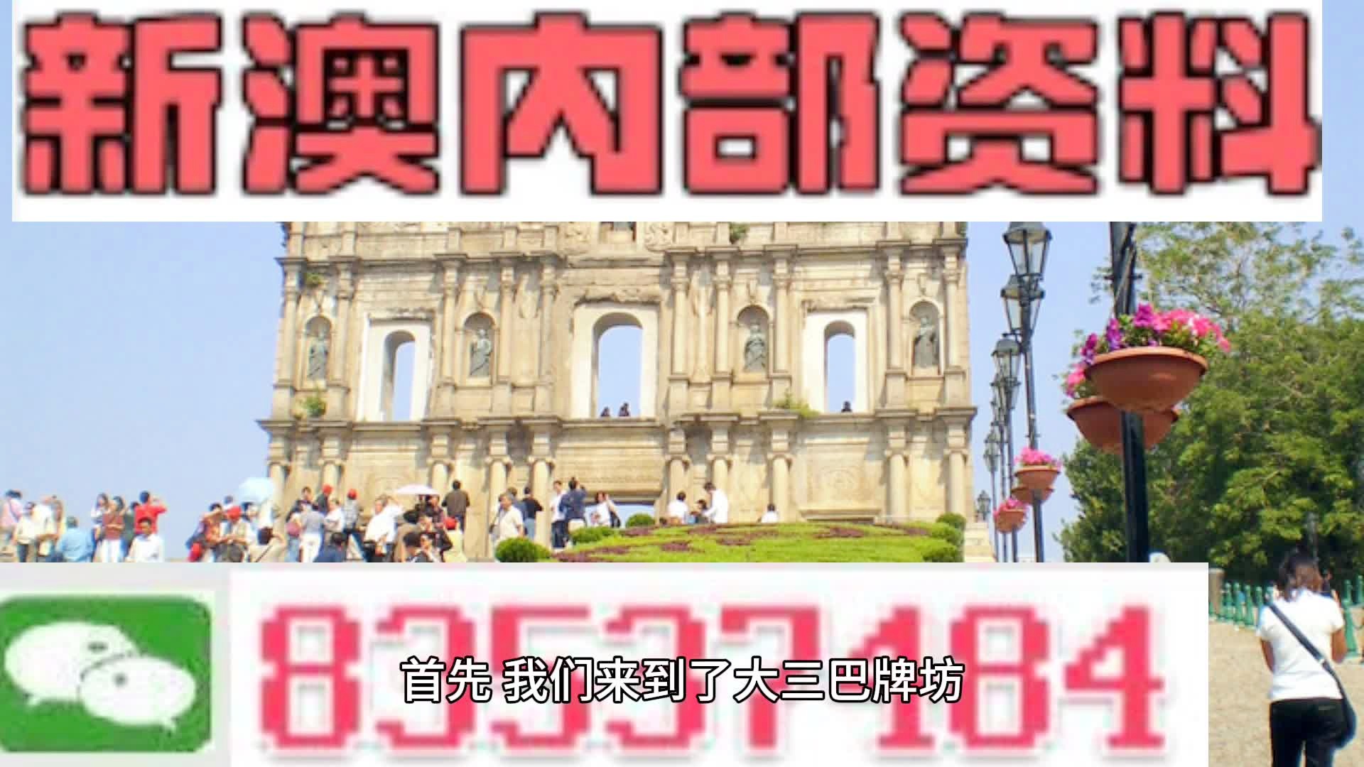 新澳门生肖走势图分析,稳定性方案解析_Deluxe46.232