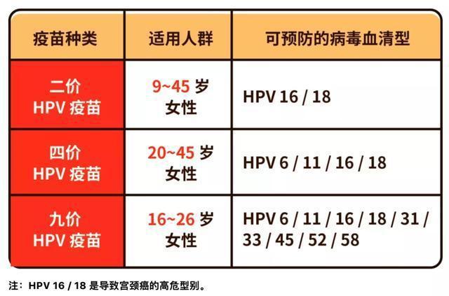 2024年新奥正版资料免费大全,快捷问题解决指南_Android256.184