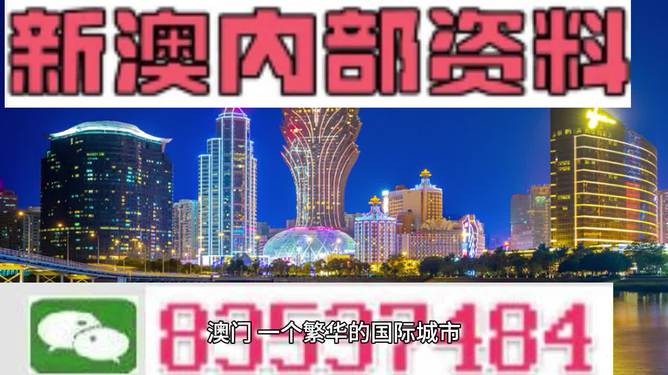 新澳门精准资料大全管家婆料,权威诠释推进方式_Pixel60.184