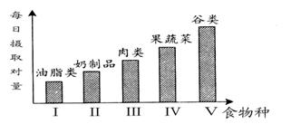 新澳门今晚精准一肖,深层设计解析策略_vShop83.575