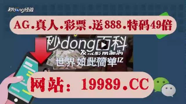 2024澳门天天六开彩查询,动态词语解释落实_XR75.626