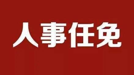 云南最新人事任免动态总览