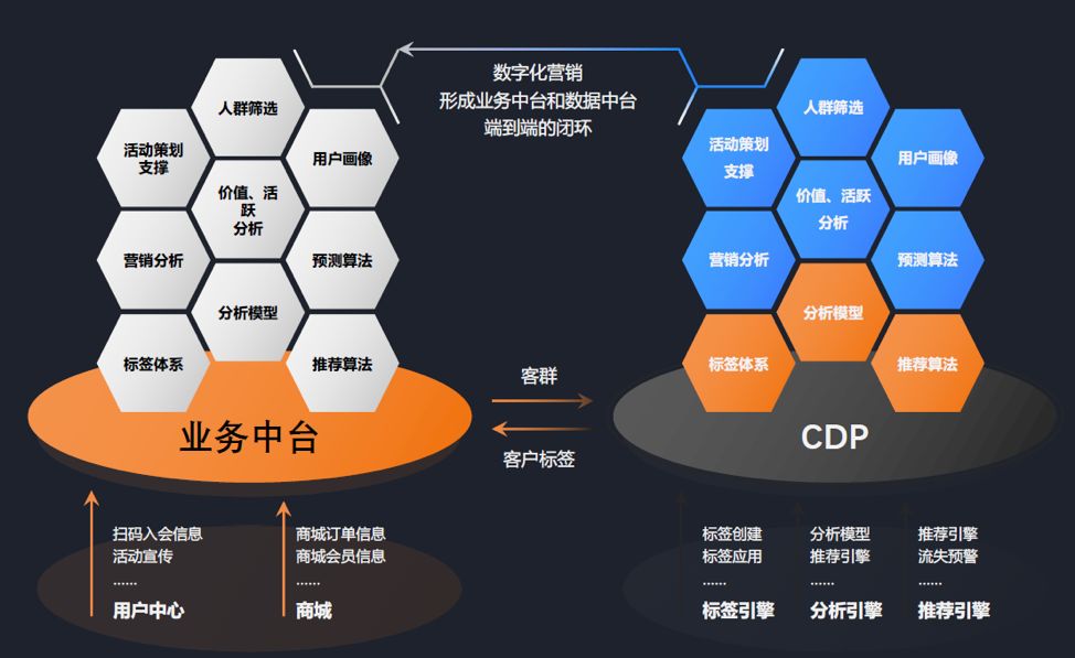 新澳门一码一肖一特一中水果爷爷,互动策略解析_5DM12.189