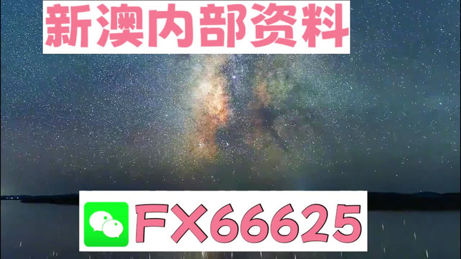 新澳天天彩免费资料49,安全评估策略_VE版18.808