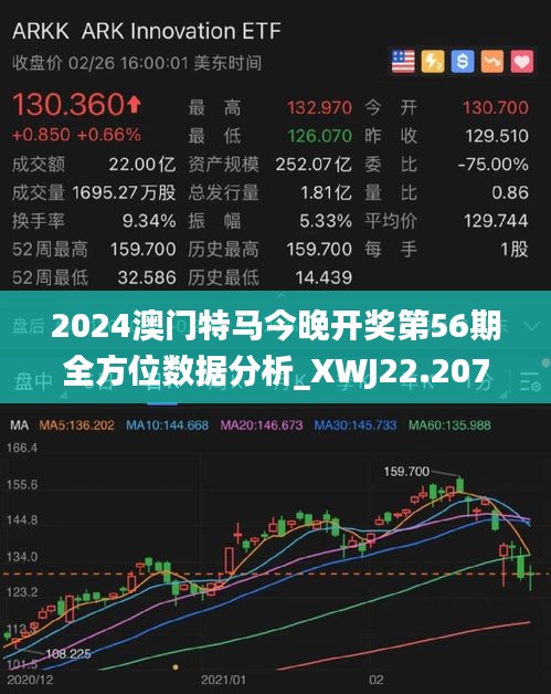 2024新澳门今晚开特马直播,数据计划引导执行_Windows56.411