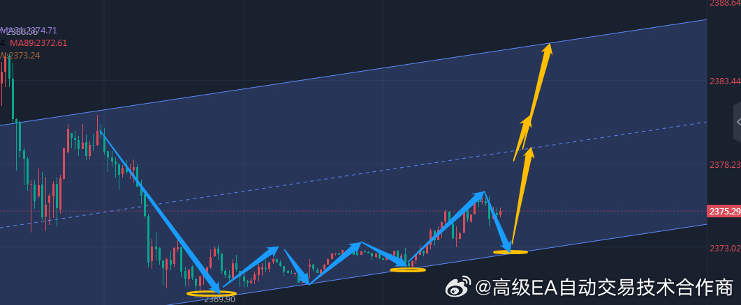 拼搏在线走势图，探索挑战，洞悉未来趋势