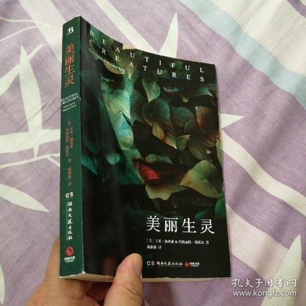 自然与人类和谐共生，美丽生灵在线的数字时代探索