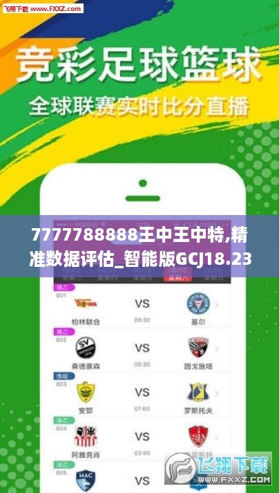 77777788888王中王中特亮点,快速解答计划解析_6DM62.227