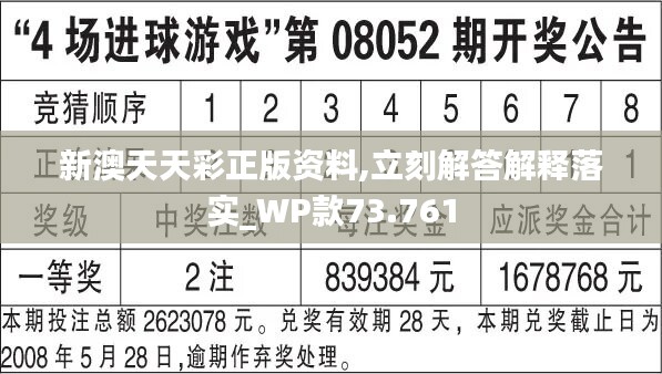 2024年12月8日 第13页