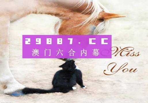 新奥门4949正版大全,可靠执行策略_XE版71.456