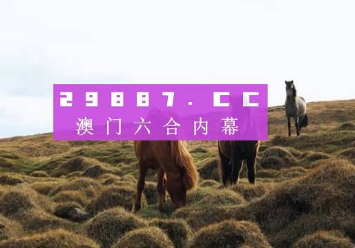 7777788888澳门开奖2023年一,专业解析评估_XR24.387