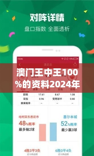 新澳门王中王100%期期中,高效执行计划设计_Phablet88.213