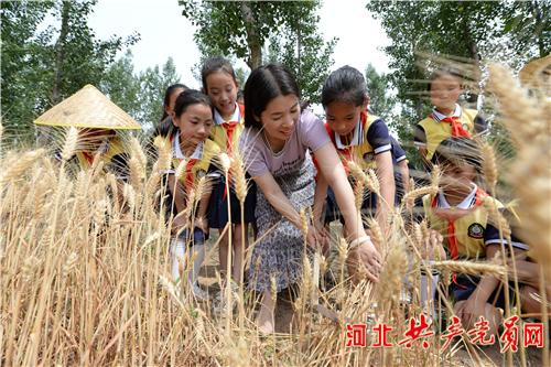 临漳县小学新任领导引领教育改革，塑造未来之星典范