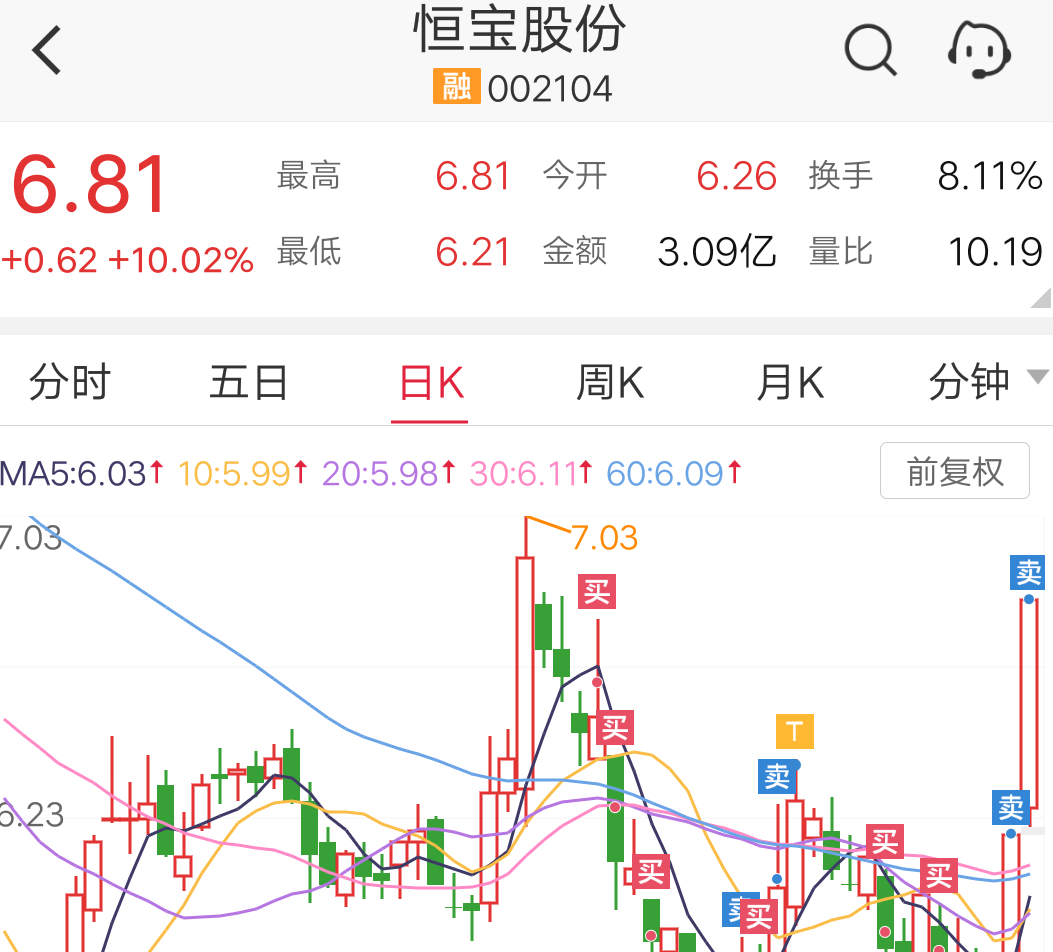 恒宝股份最新股东动态深度解析