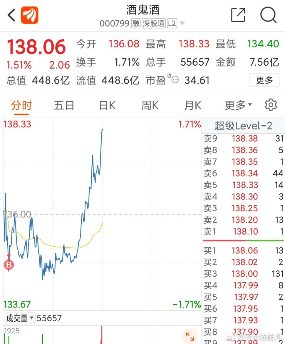 酒鬼股票最新消息解析，市场动态、展望与深度解读