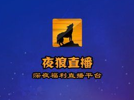 夜狼最新破解版关于夜狼最新破解版的违法犯罪问题探讨