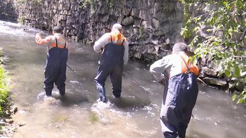 水磨沟区人民政府办公室最新领导团队概况