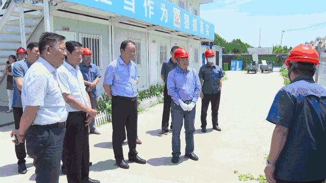 泰山区最新消息全面解读与分析