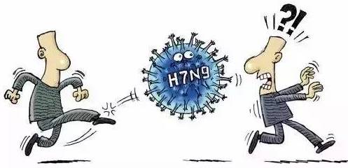 H7N9最新指南，全面解析预防与治疗策略