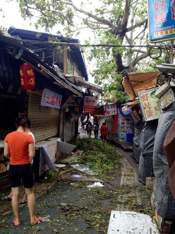 最新台风登陆预测，登陆时间分析与影响解读